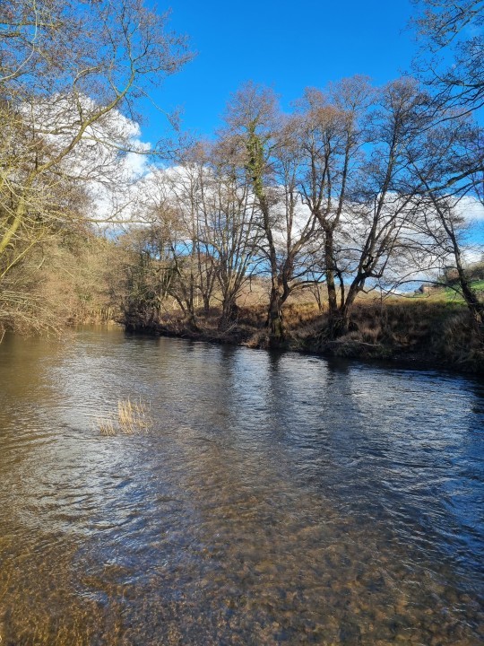 Skenfrith - NG from Yeovil